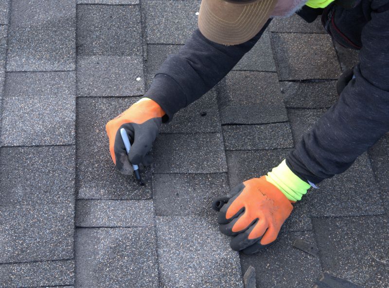 Shingle Repair Expert