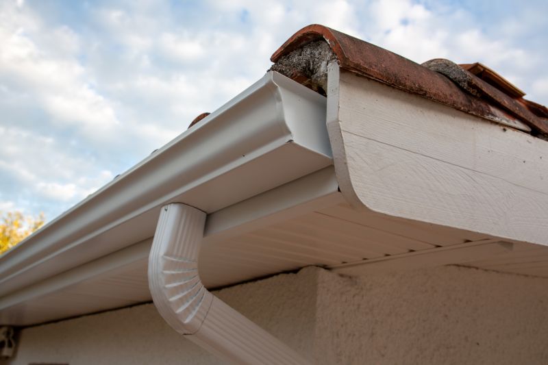 Gutter and Roof System Checks