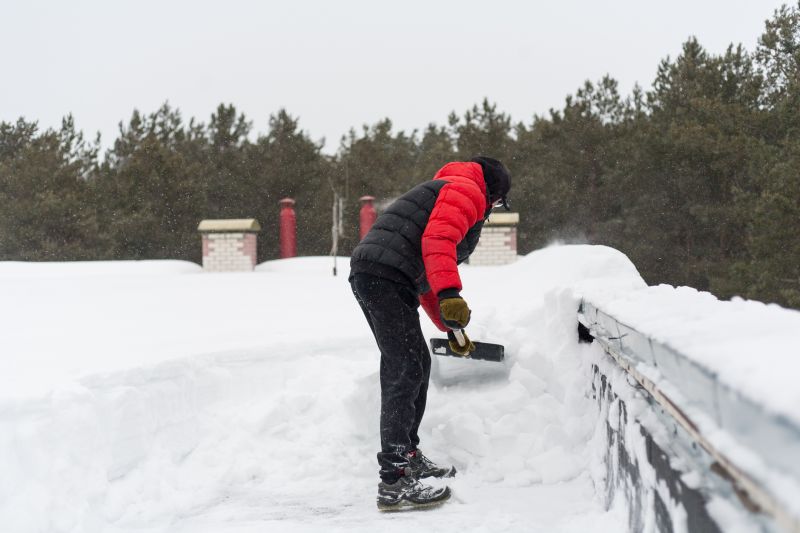 Local Roofing Specialists